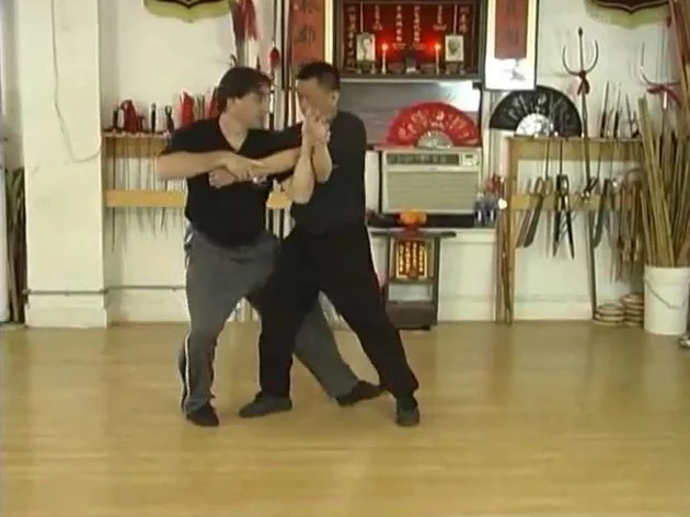 Видеофильм Основные концепции боевого применения БаГуа