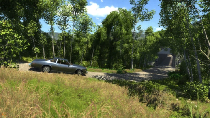 BeamNG.drive * RU/KZ/CIS/TR/AR * STEAM 🚀 AUTO DELIVERY