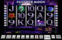 Слот автомат Panter Moon-multigaminator c бет 900