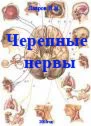Черепные нервы Лавров Н.Н. 2005г.