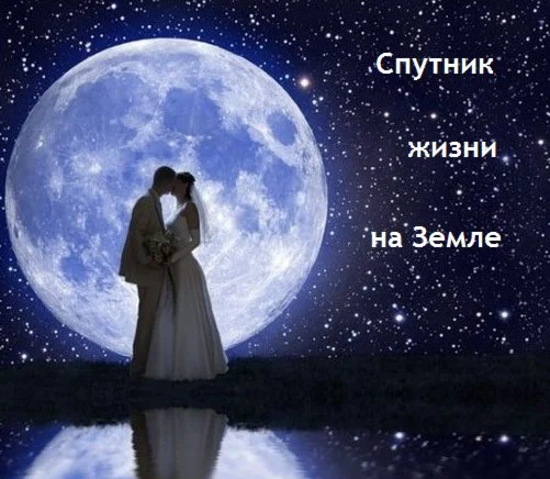 Спутник жизни на Земле