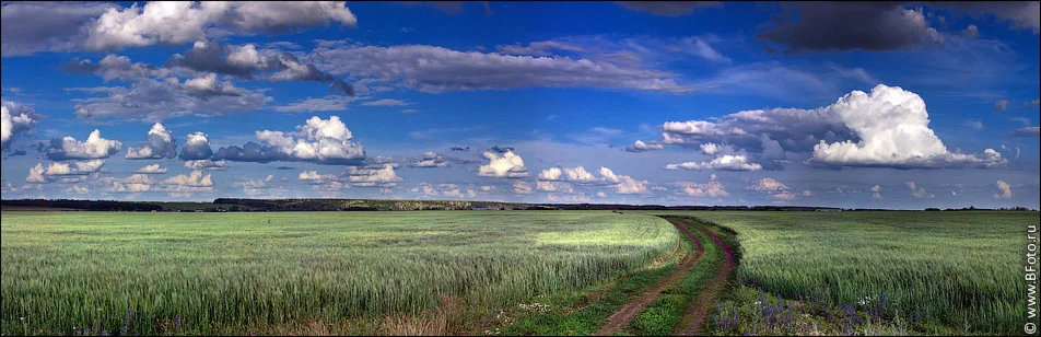 4124 Панорама фото природы с полем, фотобанк природы