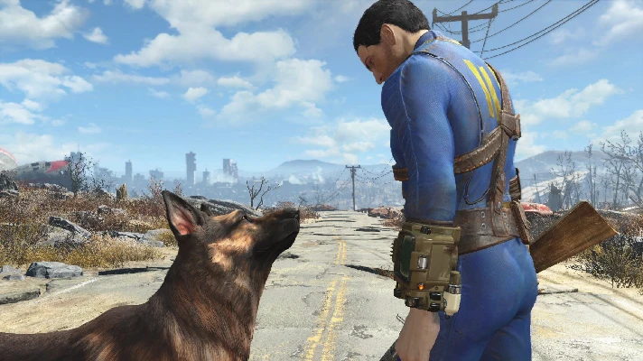 Fallout 4 GOTY (steam key)