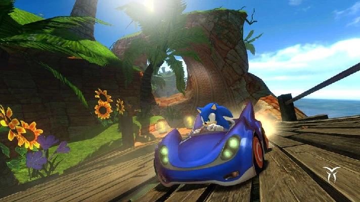 Sonic  SEGA AllStars Racing (steam key) -- RU