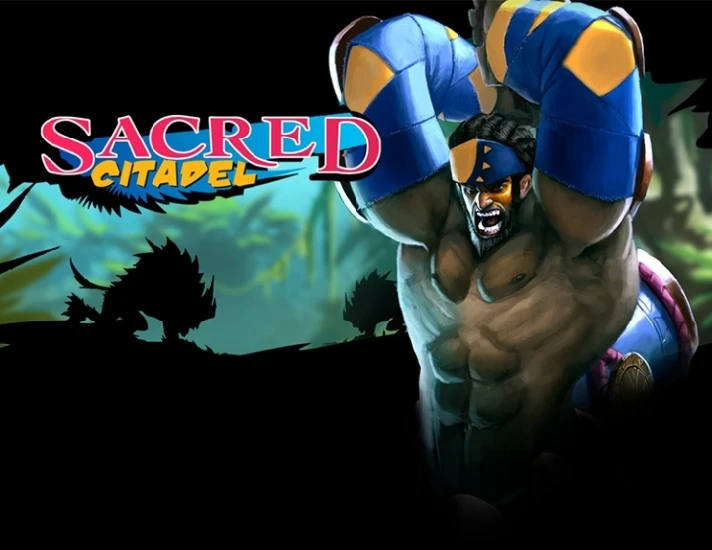 Sacred Citadel (steam key) -- RU