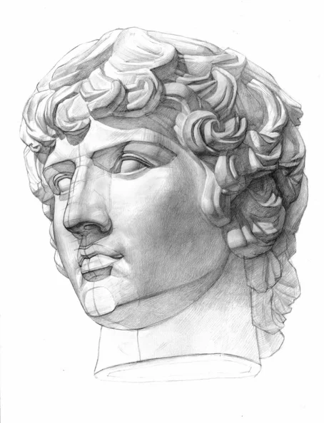 Рисунок головы Антиноя для учебного копирования