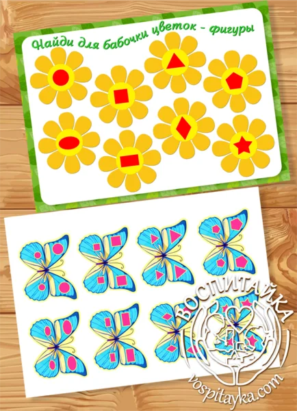 Набор - найди для бабочки цветок