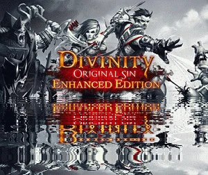 🟩Divinity: Original Sin -Enhanced Edition STEAM/RU+CIS