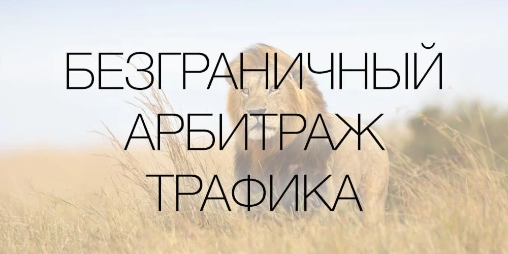 15 шагов к прибыльному арбитражу трафика