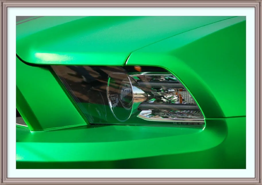 Фотография Зеленый Мустанг