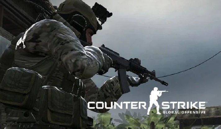 Counter-Strike: Global Offensive CS GO (Region Free)