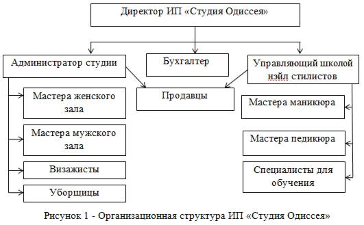 Преддипломная практика по экономике в ИП «Студия Одиссе