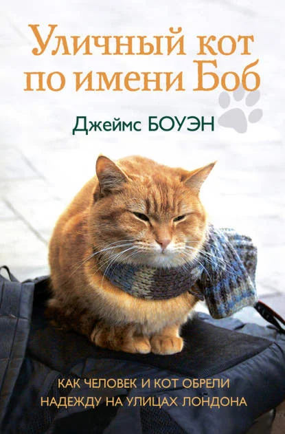 Уличный кот по имени Боб