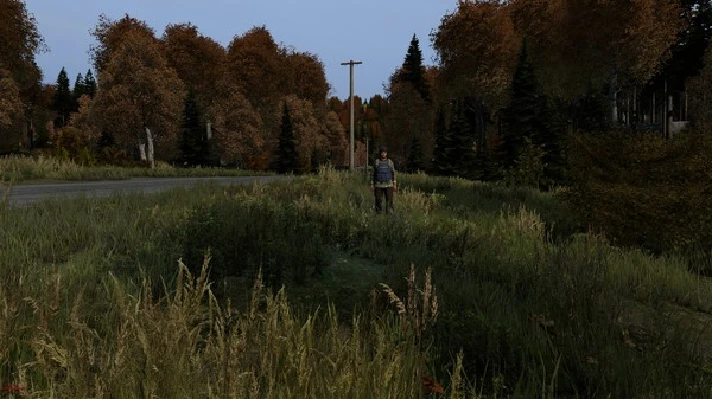 DayZ * RU/KZ/CIS/TR/AR * STEAM 🚀 AUTO DELIVERY