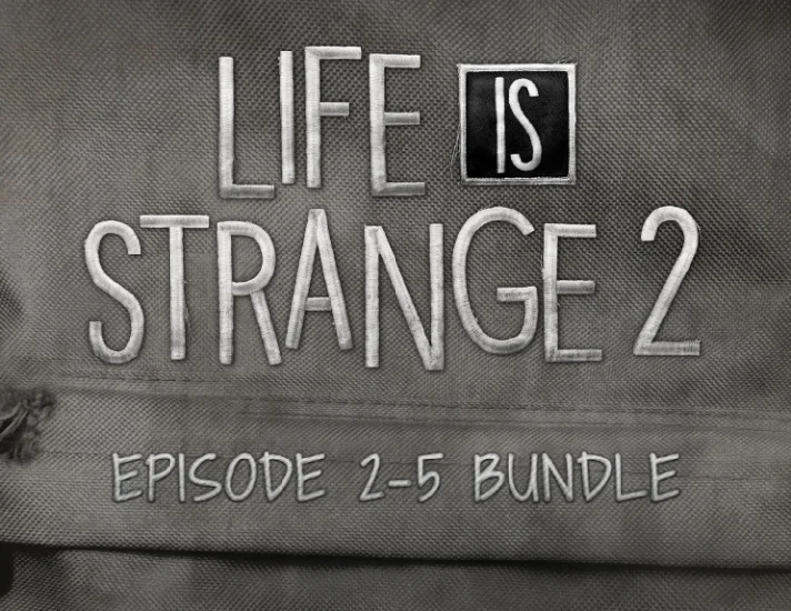 Life is Strange 2 Episodes 2-5 bundle (steam)
