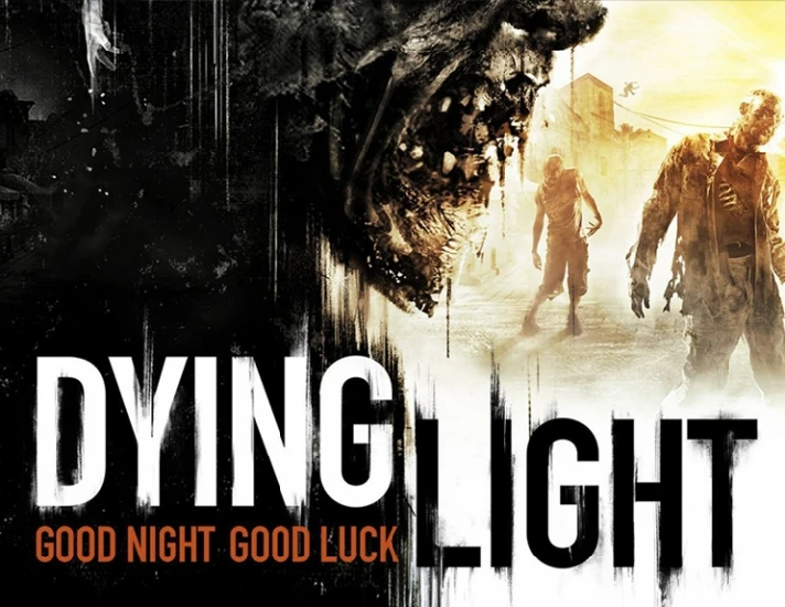 Dying Light (steam key)