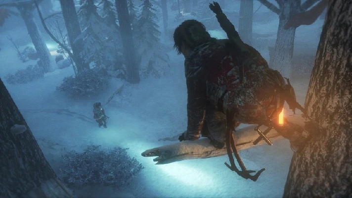 Rise of the Tomb Raider Season Pass (Steam key)