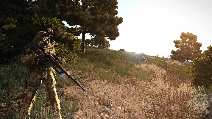 Arma 3 (Russia)