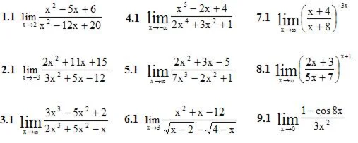 Решебник Рябушко. Решенный ИДЗ 5.1, Вариант 1