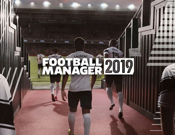 Football Manager 2019 (Steam key) -- RU