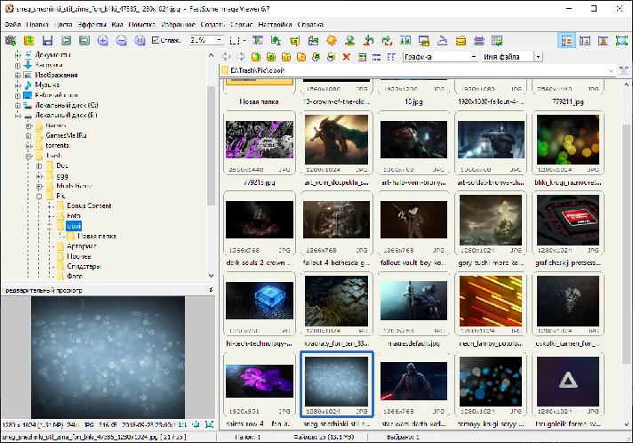 FastStone Image Viewer (License key) + bonus