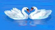 Влюблёные Лебеди