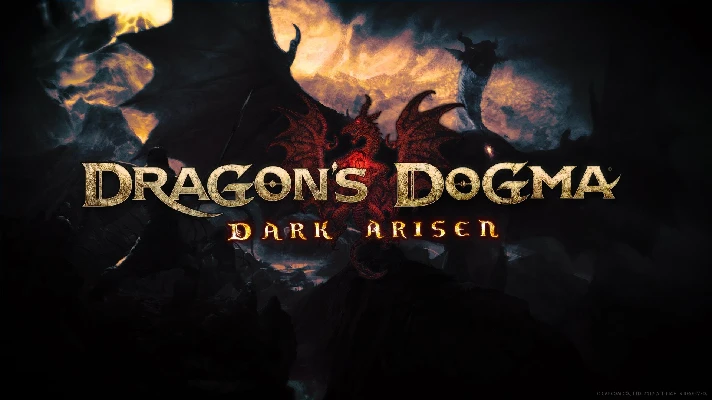 Dragon´s Dogma Dark Arisen / STEAM 🔴 NO COMMISSION