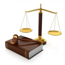 Конституционные права и свободы человека и гражданина