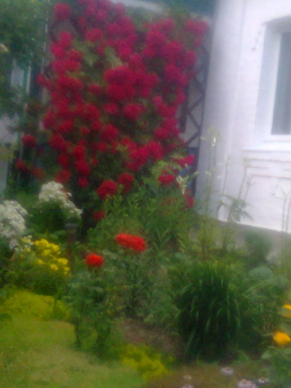 фото природы