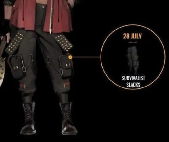 PGI Survivalist Slacks 👖(LEGAL CODE) Region Fre