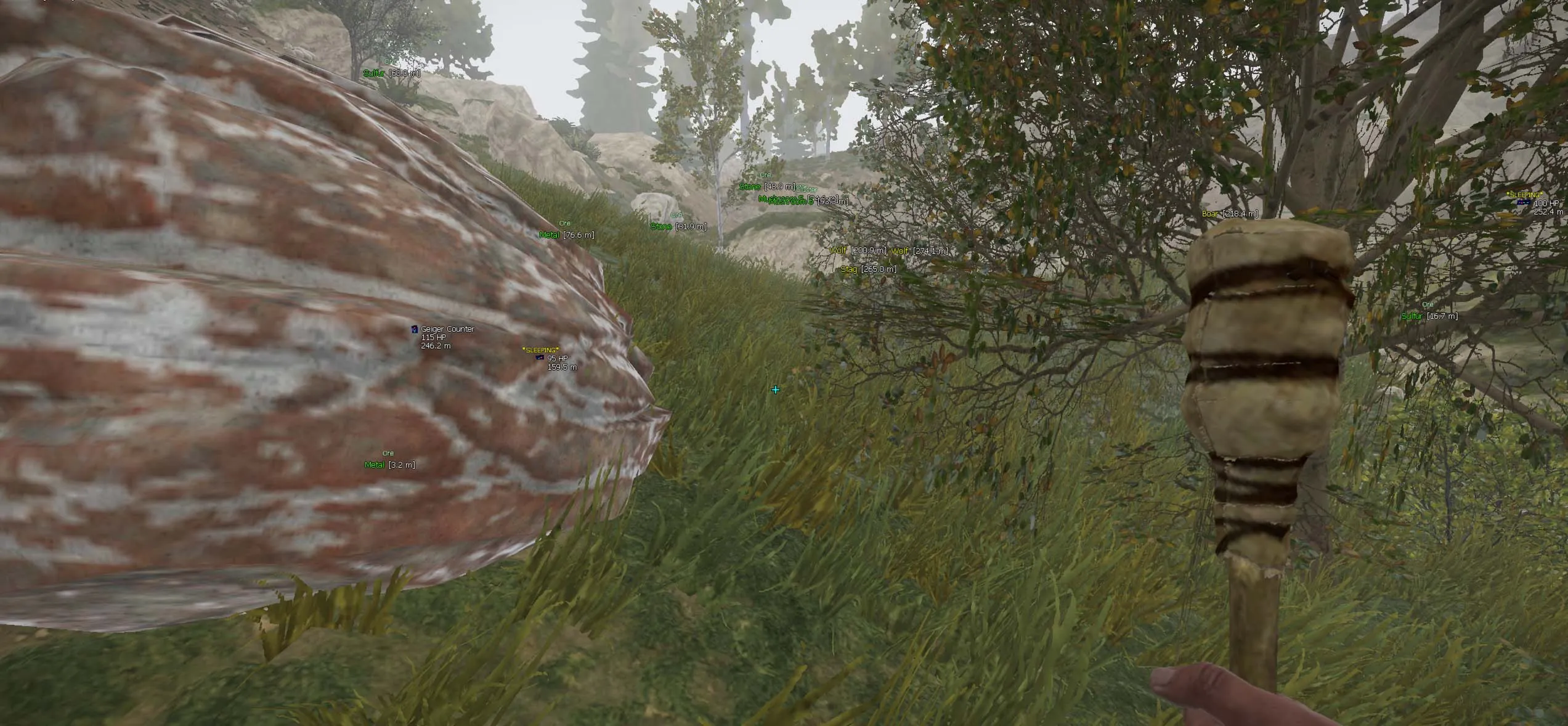 Приватный чит для RUST 15 дней