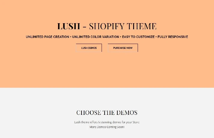 TOP 5 Premium Templates for Shopify 2019