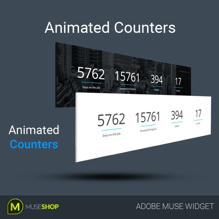 Animated Counters