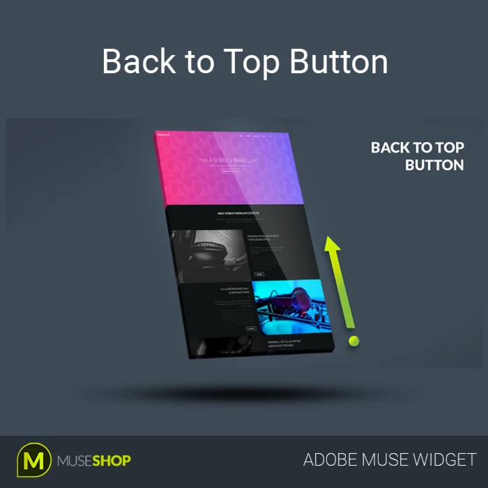 Back to Top Button