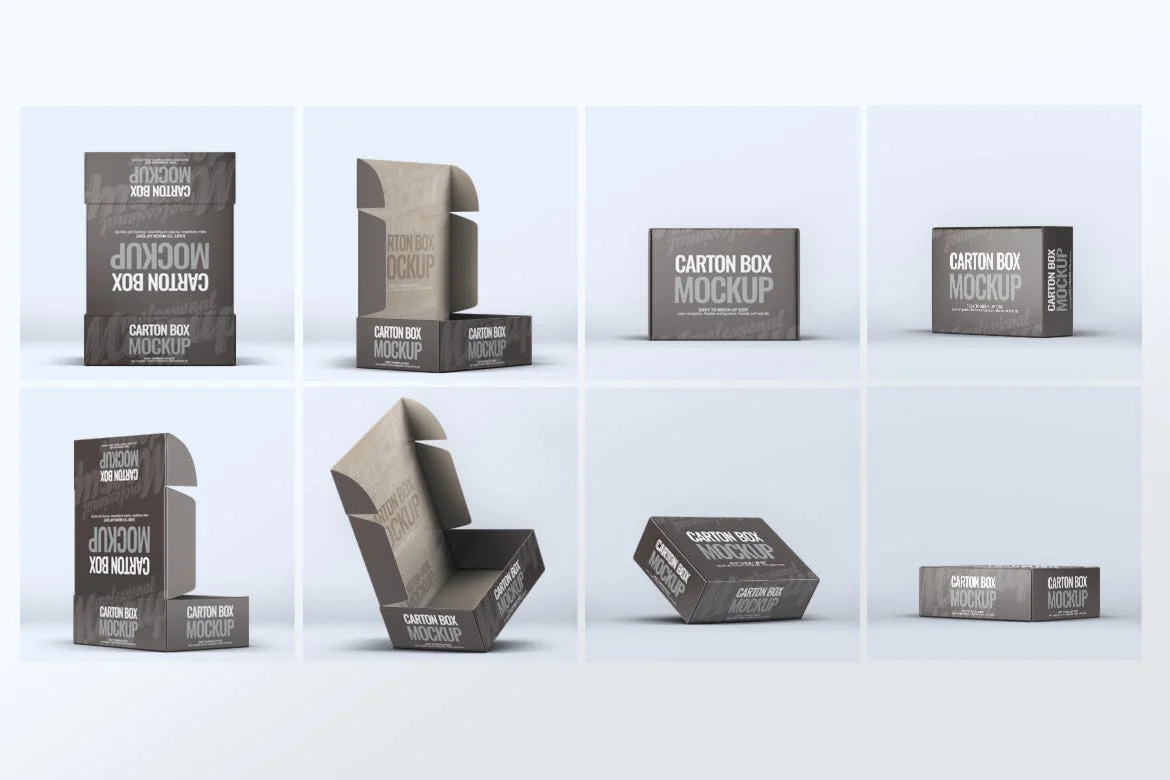 Carton Box Mock-Up