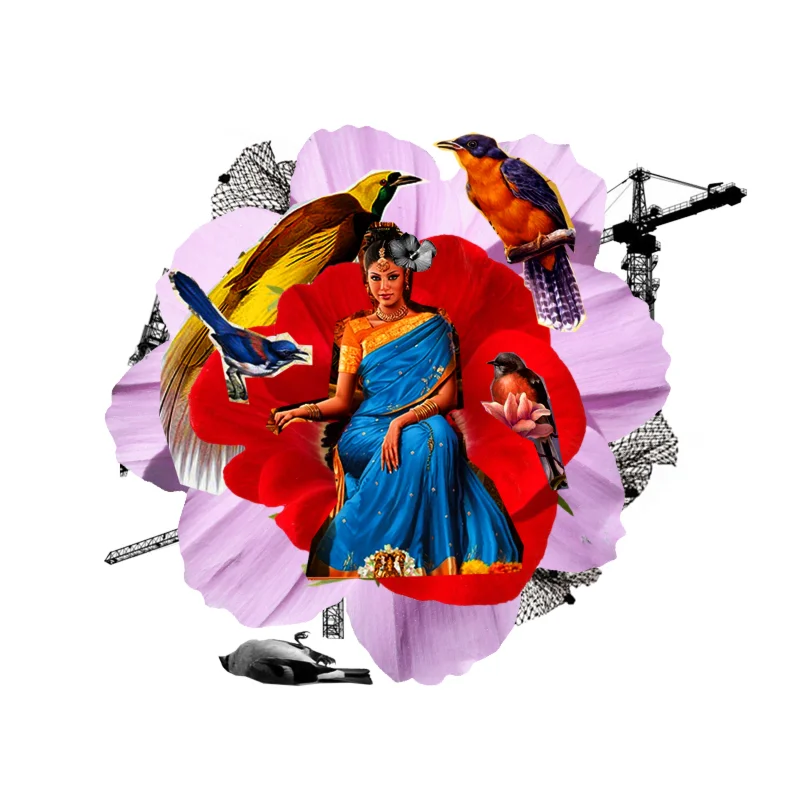 Бесполезные птицы