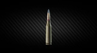 Ammo case + 5.45x39 mm 7N39 