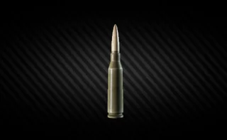 Ammo case + 5.45x39 mm BS Escape from Tarkov