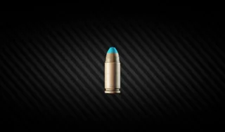 Ammo case + 9x19 mm Luger CCI Escape from Tarkov