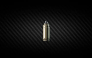 Ammo case + 9x19 mm AP 6.3 Escape from Tarkov
