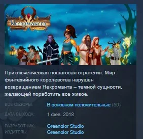 Necromancer Returns 💎 STEAM KEY REGION FREE GLOBAL