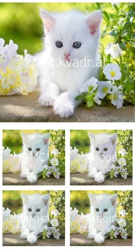 Котенок слился с природой