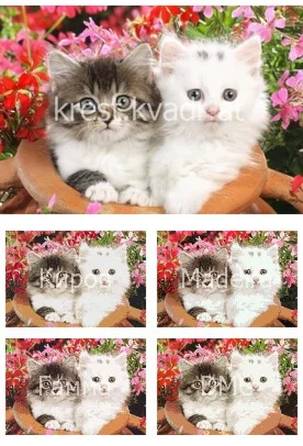 Очень смешные котята среди цветов