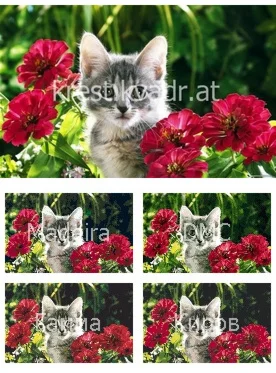 Котенок спрятался в цветах