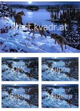 Волки на охоте зимой