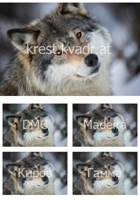 Серый волк зимой