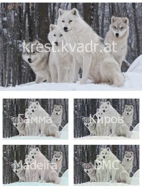 Стая Волков в зимнем лесу