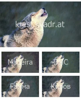 Волчья песня