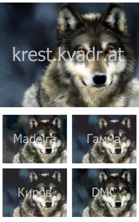 Волк с красными глазами