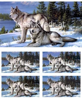 Красивые зимние волки